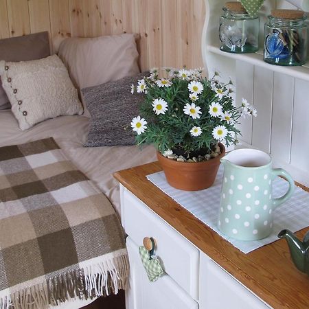 Marshwood Farm B&B And Shepherds Hut Dinton  Экстерьер фото